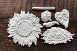 Sunflower Mould