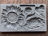 Sunflower Mould